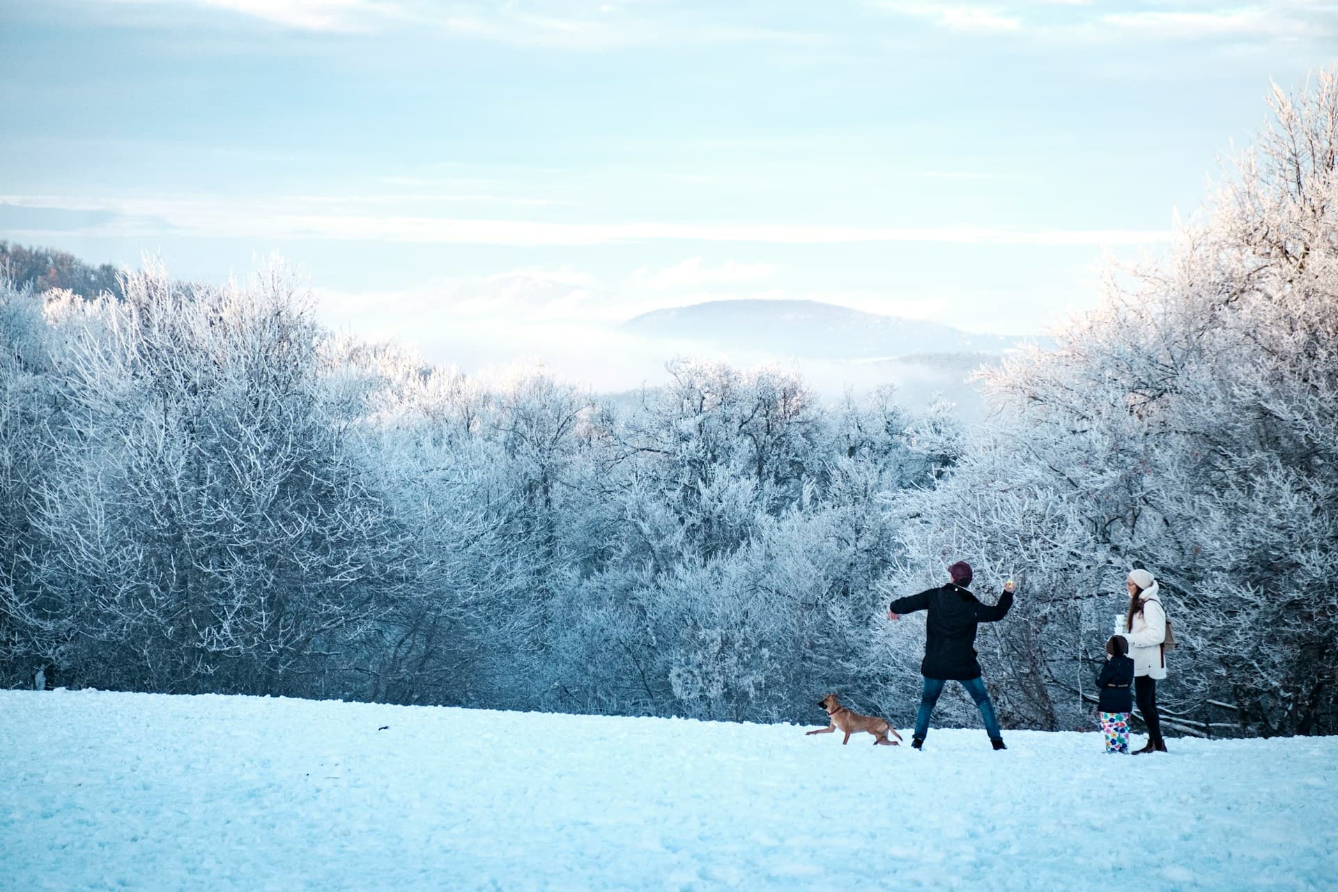 A family on the snow